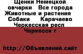 Щенки Немецкой овчарки - Все города Животные и растения » Собаки   . Карачаево-Черкесская респ.,Черкесск г.